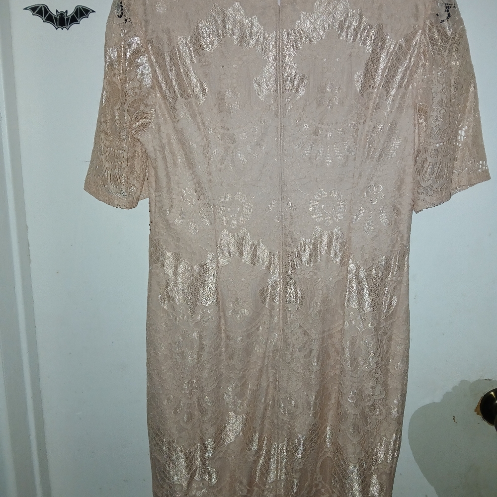 NWOT Adrianna Papell dress - Picture 2 of 4